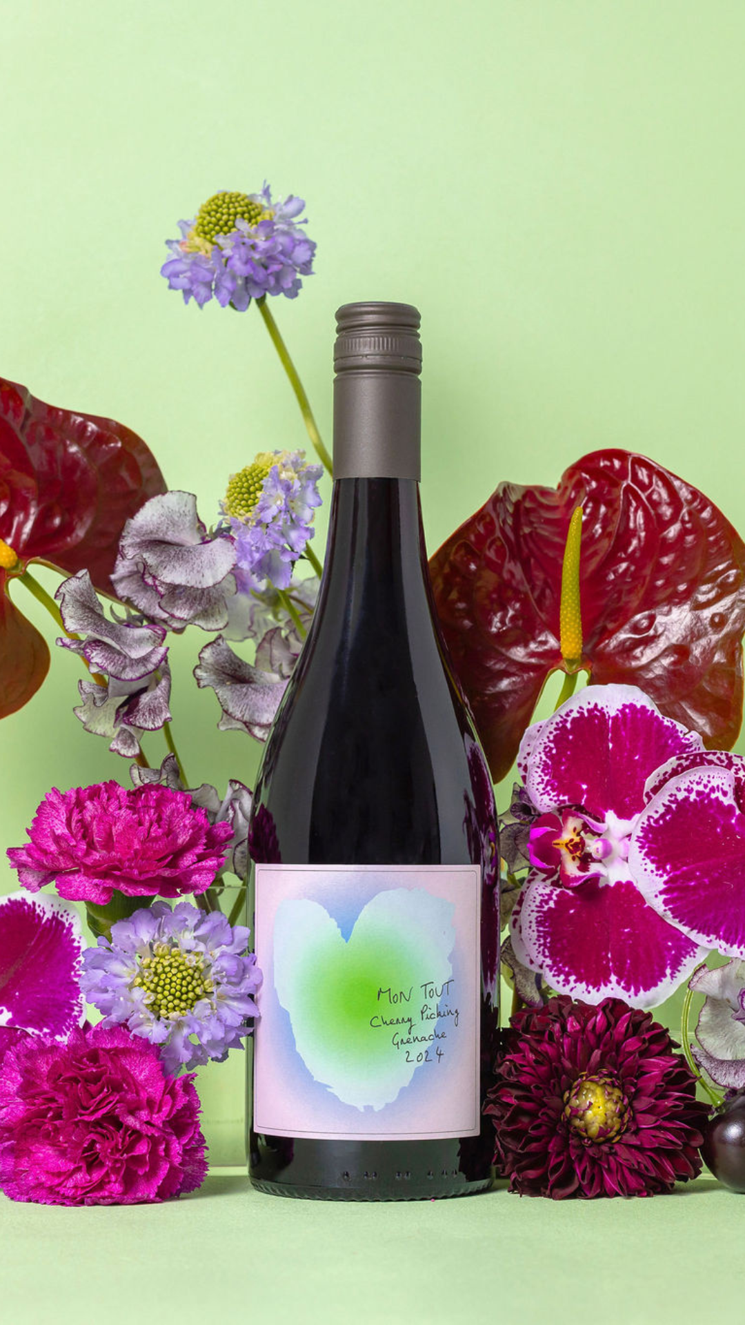 Cherry Picking 2024  — Grenache